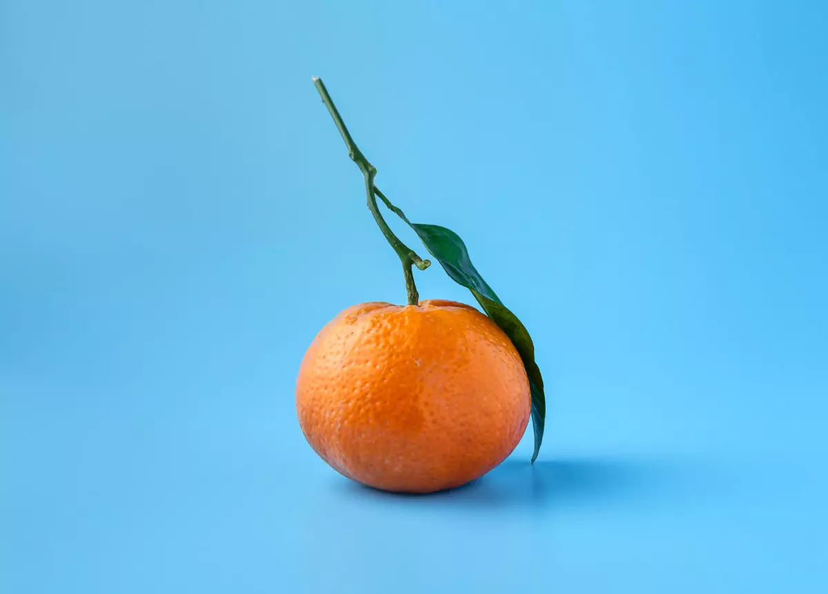 Citrusfrukt-mandarin