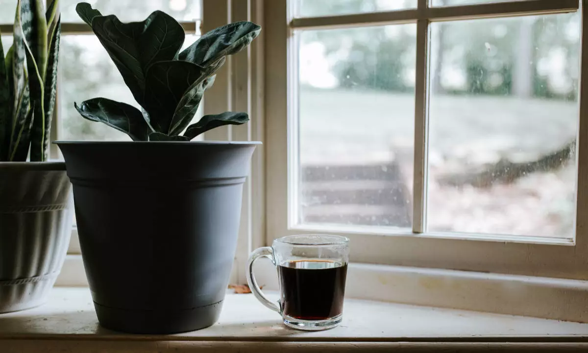 Svart-kaffe-på-fönsterbräda